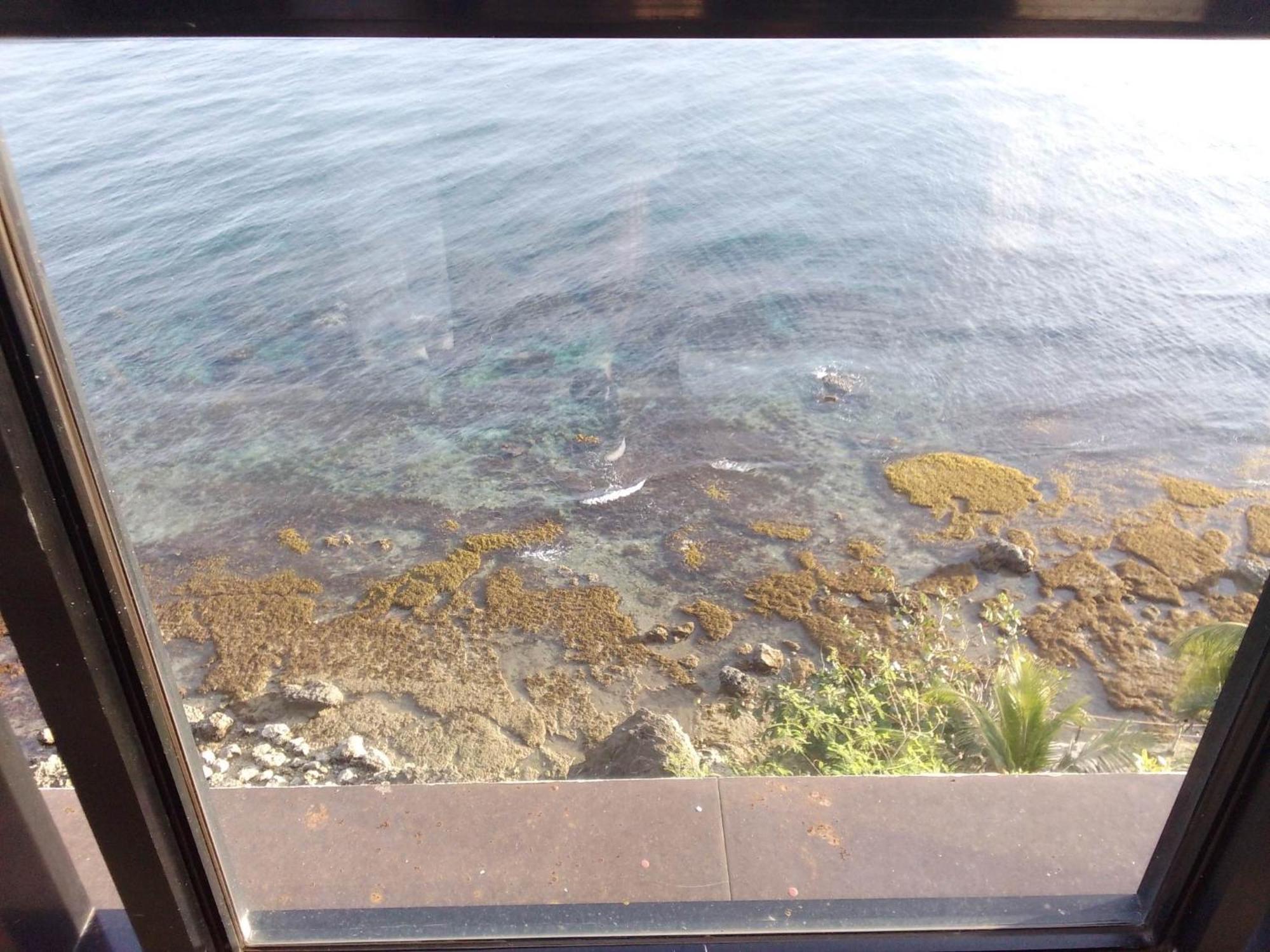 Cliff Haven Resort Jagna エクステリア 写真